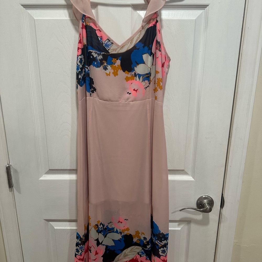 Express Pink and Blue Floral Maxi Dress